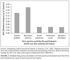 Image result for Andrachne ovalis