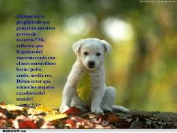 Maybe you would like to learn more about one of these? Imagenes De Perros Bonitos Con Frases