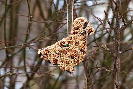 Birdseed Ornaments Fireflies And Mud Pies