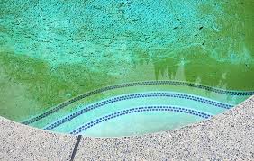 Aquaguard 5000 is a high quality epoxy coating for every kind of pool out there. Choose The Right Inground Pool Removal Method Hometown Demolition
