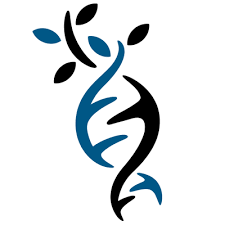 From wikimedia commons, the free media repository. Organic Agility On Twitter First Case Study Published On Organic Agility Website How Agile42 Decided To Speed Up Changes In The Leadership Culture At Congstar By Introducing The Concept Of Archetypes Https T Co Qngngo4dwj