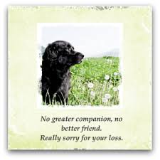 Pet Sympathy Card Messages Simple Sympathy Pet Sympathy Pet Sympathy Quotes Pet Sympathy Cards