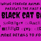 Black Cat Bash event image