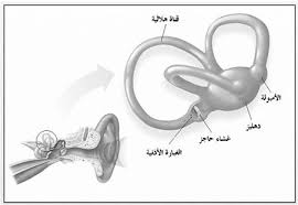 الدوخة ومشاكل التوازن الإدارة العامة للمستشفيات