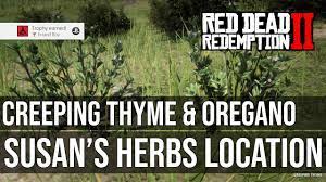 Susan S Herbs Creeping Thyme Oregano Location Errand Boy Trophy Red Dead Redemption 2 Youtube