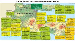 According to siteadvisor and google safe browsing analytics, ptpn12.com is quite a safe domain with. Profil Pt Perkebunan Nusantara Xii