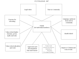 Visual Assessment Tools The Culturagram Interview With Dr Elaine Congress Clinical Social Work Medical Social Work Social Work