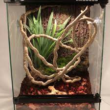 Limited time sale easy return. Terrarium Reptile Flexible Jungle Vines Flexible Bendable Decoration Accessories Ebay