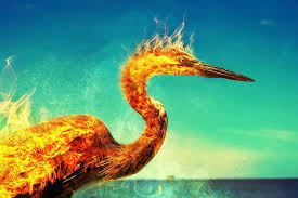 We did not find results for: La Resiliencia Como Resurgir Como El Ave Fenix Magazinespain Com