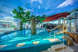 Our website use cookies for statistical, marketing and functional purposes to adapt our services to your individual needs. Basen Dla Dzieci Picture Of Aquapark Health Resort Medical Spa Panorama Morska Jaroslawiec Tripadvisor