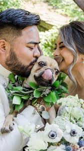 Considering a Vineyard Wedding: Pros and Cons