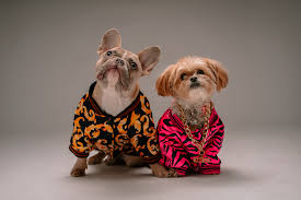 Pet Accessories and Fashion Items