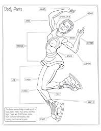 We've got 12 colouring pages all featuring a different part of the human body in this fun set. My Human Body Coloring Book George Toufexis 9781631581519 Christianbook Com