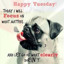 Dec 23, 2020 · baddie quotes about the power of a selfie. 35 Cool Funny Animal Memes Funny Animals Pictures 24 Happy Tuesday Quotes Funny Good Morning Memes Tuesday Quotes
