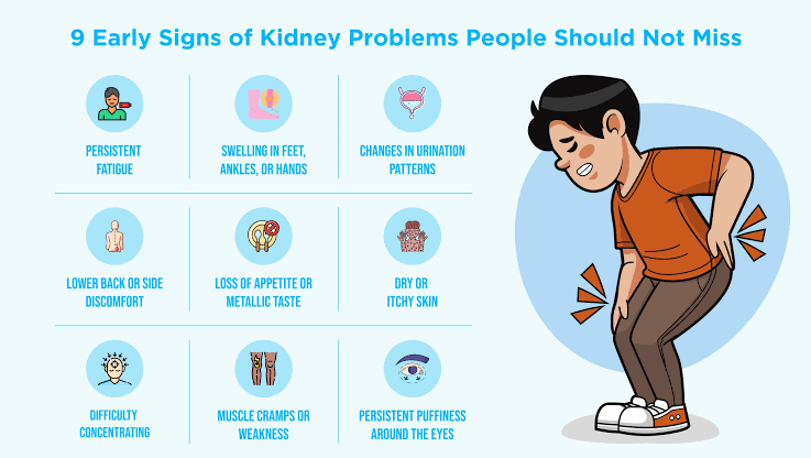 Early Signs of Kidney Function Changes, AI generated