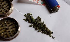 Cuántas iniciativas sobre marihuana se han ido a la congeladora?