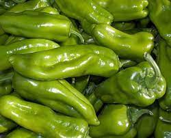Amazon Com Pepper Cubanelle Sweet Pepper Seeds Non Gmo 100 Seeds Per Pack Some Prefer The Cubanelle Pepper To Traditional Bell Peppers Because Of Their Sweet And Mild Flavor Patio Lawn
