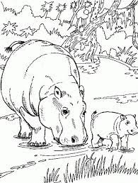 Free Printable Hippo Coloring Pages For Kids Animal Coloring Pages Animal Templates Horse Coloring Pages