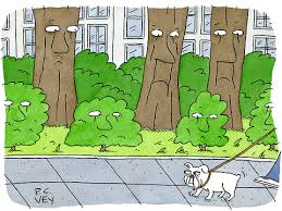 A tree that is showing signs of stress or dying can be saved with these simple tips. Complaint Box Dog Urine The New York Times