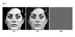 Distorted self image (d.s.i) started in january 2001. Distorted Self Image The Result Of Visual Brain Glitch Study Finds