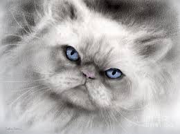 Black And White Persian Cat With Blue Eyes Persian Cat With Blue Eyes Persian Cat Art Cat With Blue Eyes Cat Painting