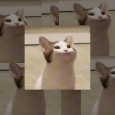 Search, discover and share your favorite pop cat gifs. Pop Cat Spotify