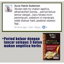 Angelica plus herbs dan marjan oil. Angelica Plus Herbs Jamu Ratu Malaya Shopee Malaysia