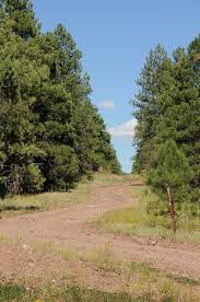 Pin On Country Roads Take Me Home