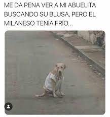 Pin De D A F N E U W U En Memes Humor Gracioso Gracioso Mejores Memes