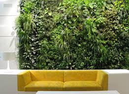Vertical gardens & moss walls are the best home decoration trick to turn out your home into a miniature farm. Installing A Vertical Garden Indoors Can You Make It Happen Organic Authority