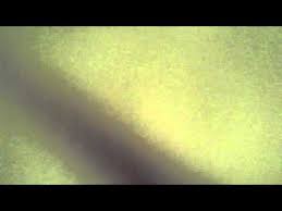 Resultado de imagen de Universidad Fernando Noveno UPI newsRus.com