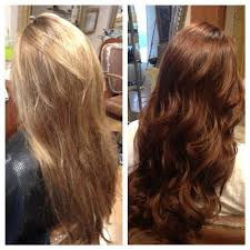 Before And After Aveda Full Spectrum Hair Color By Doreen Aveda Hair Aveda Hair Color Aveda Color