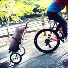 自転車だけでは積みきれない 運びたい人向けタイプ別おすすめサイクルトレーラー inside doppelganger 自転車 自転車トレーラー トレーラー