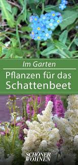 P Wie Prachtspiere Astilbe Bild 16 Prachtspiere Schattenpflanzen Schattenpflanzen Garten