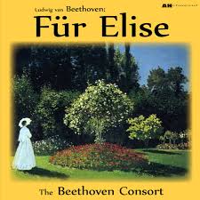 14) 1st movement (adagio sostenuto). Beethoven Fur Elise By Beethoven Consort On Tidal