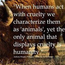 Humanity Animal Quotes Quotes Animal Rights