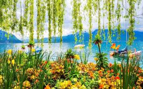 The park is an area that contains the components everyone also will not only have one theme of every mobile phone, there will certainly be a sense of boredom for the theme, therefore everyone has. 23 Spring Garden Wallpaper Hd Basty Wallpaper