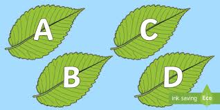 It also includes 52 lowercase leaf cards and 52 uppercase leaf cards. Free A Z Alphabet On Spring Leaves Teacher Made