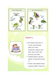 Daur hidup kupu kupu yaitu dari telur kupu kupu yang menetas, kemudian tumbuh memasuki tahap larva, berkembang menjadi pupa atau kepompong, selanjutnya pupa berubah menjadi kupu dewasa yang kemudian kawin dan menghasilkan kupu kupu generasi yang baru dengan siklus sama yang. 40 Gambar Daur Hidup Hewan Kupu Kupu Terbaik Gambar Hewan