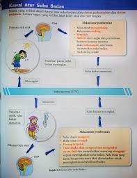 Laras mengatakan, kalau gas tersebut meningkat akibat aktifitas manusia maka bumi juga. Homeostasis Dalam Benda Hidup