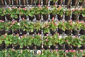 Explore wonderful wall hanging planters including outdoor and indoor hanging planters for walls to create a beautiful diy vertical wall 27 best wall hanging planters for indoors & outdoors 2021. Vertical Gardening Decorative Wall Hanging Flower Pots Stock Photo Picture And Royalty Free Image Image 107412833