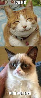 Love Me With Your Eyes Grumpy Cat Vs Happy Cat Make A Meme