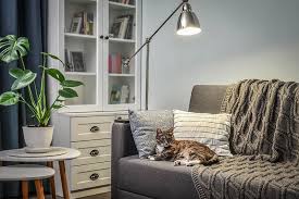 Okay, maybe not a saga but definitely a struggle to find the right gray paint color for my living room. What Colors Go With Light Blue Walls Designing Idea