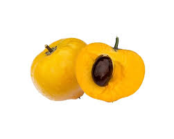 Image result for Pouteria