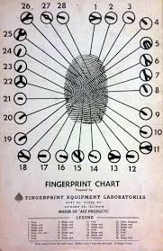 Fingerprint Chart Fingerprint Chart Forensic Science
