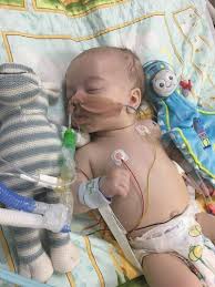 These types of lung cancer grow differently and are treated differently. Crowdfunding To Baby Roman S Cancer Fund On Justgiving