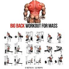 Big Back Workout Step By Step Tutorial Big Back Workout
