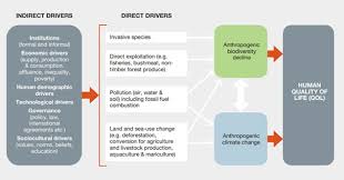 The intergovernmental panel on climate change (ipcc) is a group of scientists chosen by governments and other large groups from around the world who study the way that humans are making the earth heat up unnaturally.the group was established in 1988 by the world meteorological organization (wmo) and the united nations environment programme (unep), two organizations of the united nations. Ipcc Ipbes Tackle Climate Change Biodiversity Together