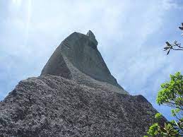 屋久島トレッキング trekking in yakushima おしゃれまとめの人気アイデア pinterest kenichi sasagawa 屋久島 トレッキング 沖縄