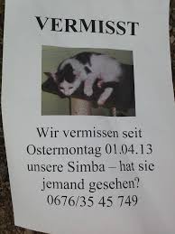 Luxus vermisstenanzeige katze vorlage solche können anpassen für ihre wichtigsten inspiration vermisstenanzeige katze vorlage hbsch hilfe unser bsi ist Katze Vermisst Bitte Melden Favoriten
